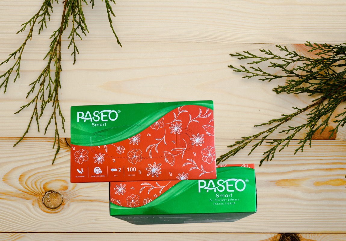 Paseo Smart Facial Tissues Virgin Paper  100 Pulls 2 Ply 200 Sheets