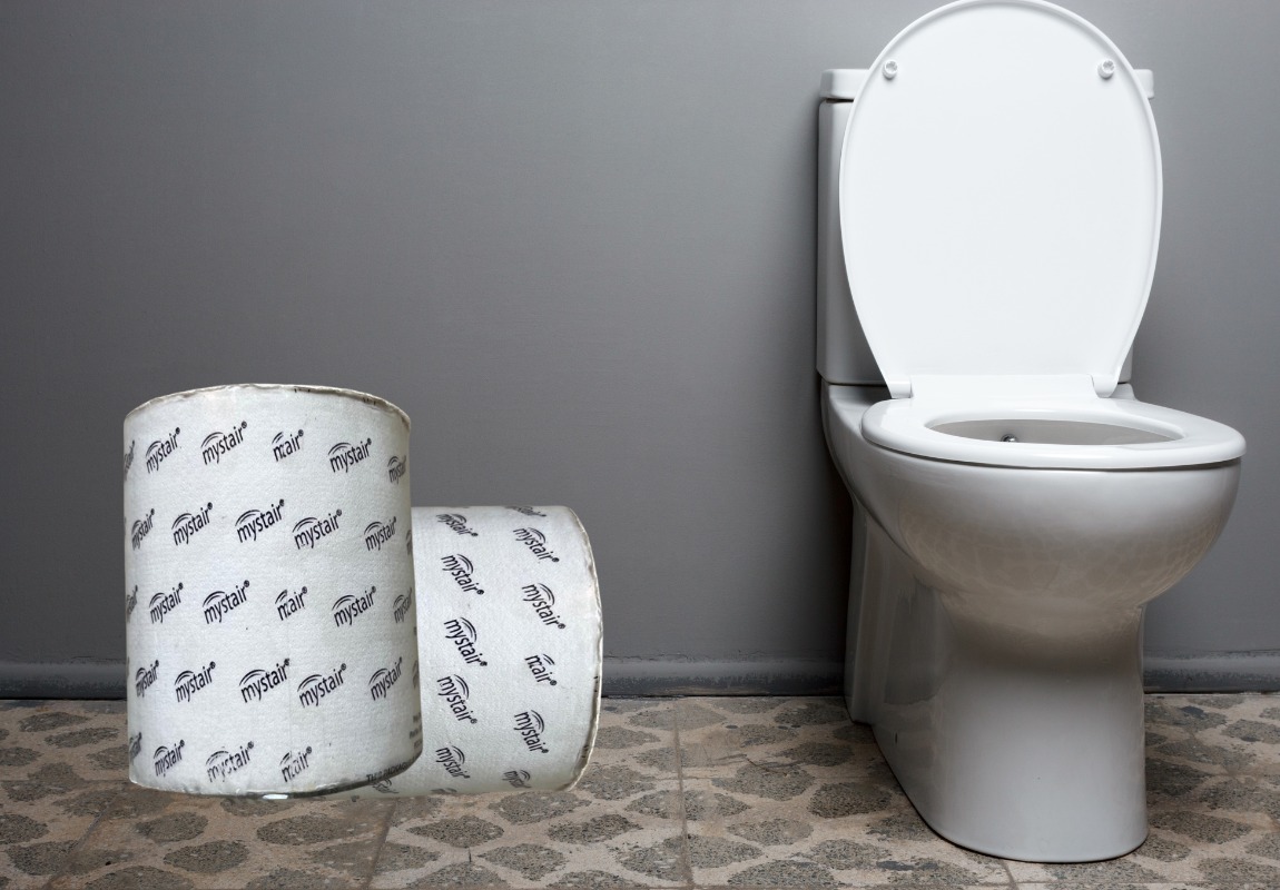 Mystair Toilet Paper Roll 100% Recycle 290 Sheet 100G Tr100E