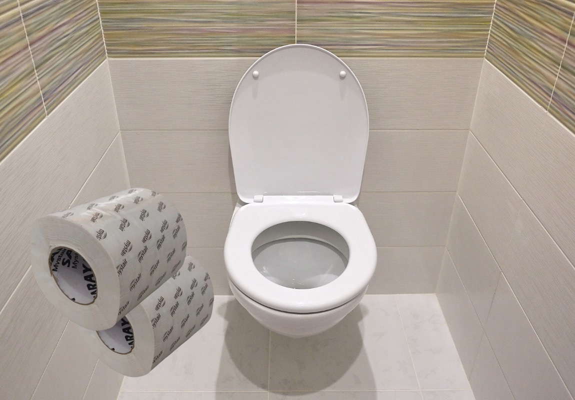Mystair Toilet Paper Roll 100% Virgin Paper 300 Sheet 100G